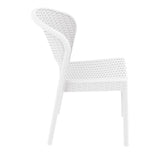 Daytona Chair | In Stock